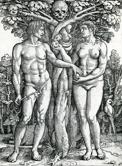 亚当和夏娃的堕落，1525-27（木刻） 作者 汉斯·塞巴尔德·贝汉姆