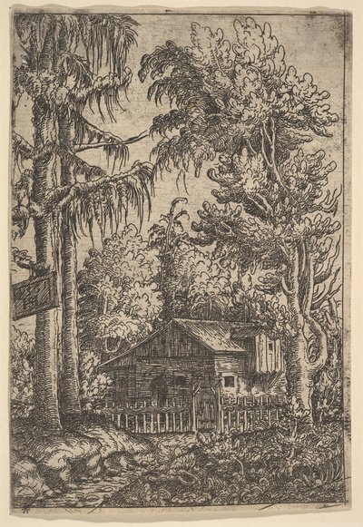 树间小屋，1551。 作者 汉斯·塞巴尔德·劳滕萨克