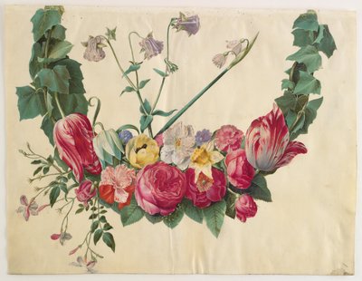 花藤 作者 汉斯-西蒙·霍尔茨贝克