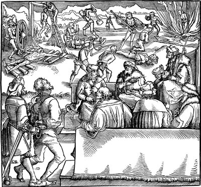 开庭。插图取自Petrarch，1532年的《反对财富的菲尼克斯》 作者 小汉斯·魏德兹