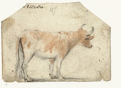 牛，从侧面看 作者 Harmen ter Borch