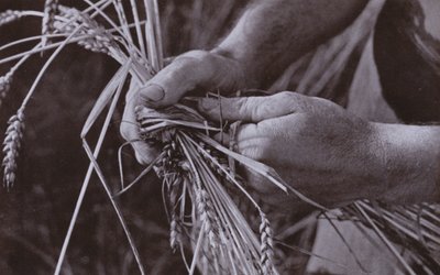 制作稻草带（黑白照片） 作者 哈罗德·伯德金