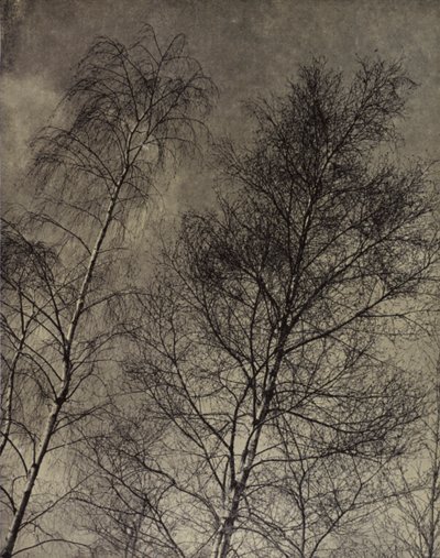 罗伯特-布里奇斯（Robert Bridges）（黑白照片），液态的天空中写下了他们的魅力。 作者 哈罗德·伯德金