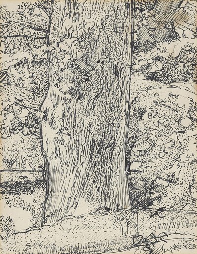 树，1916年 作者 哈罗德·吉尔曼