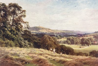 A Hayfield，Wonersh（彩色印刷版） 作者 哈罗德·萨顿·帕尔默