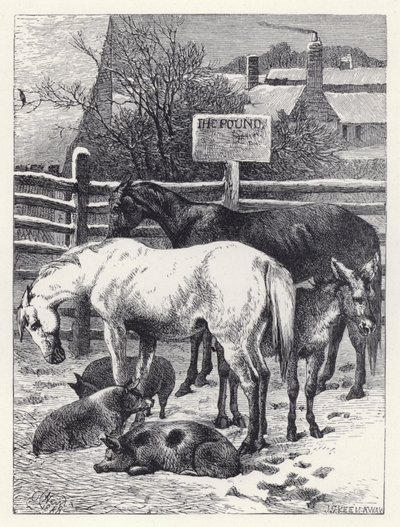英镑中的动物（雕版画 作者 哈里森·威廉·威尔