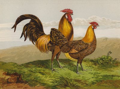 金铅笔汉堡（chromolitho） 作者 哈里森·威廉·威尔