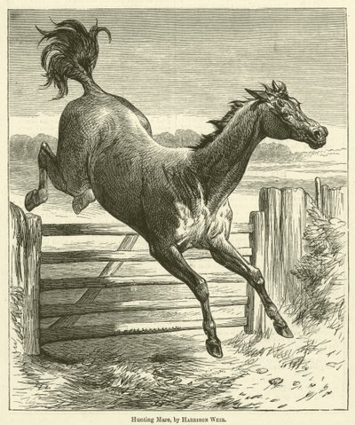 狩猎母马 作者 Harrison William Weir