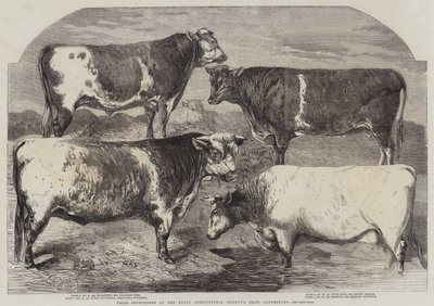 堪萨斯皇家农业协会展览会上的Shorthorns奖 作者 Harrison William Weir