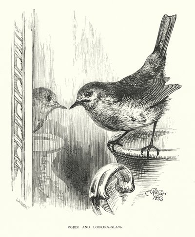 Robin and looking-glass (engraving) 作者 哈里森·威廉·威尔