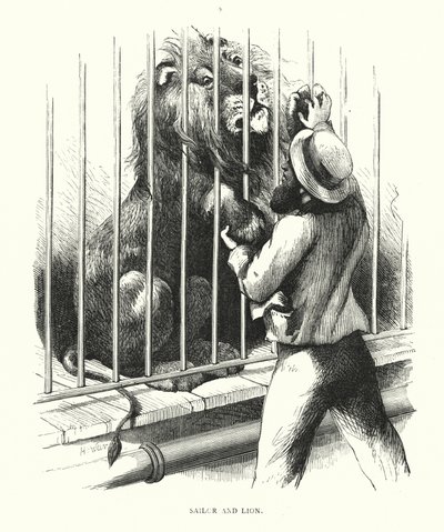 Sailor and lion (engraving) 作者 哈里森·威廉·威尔