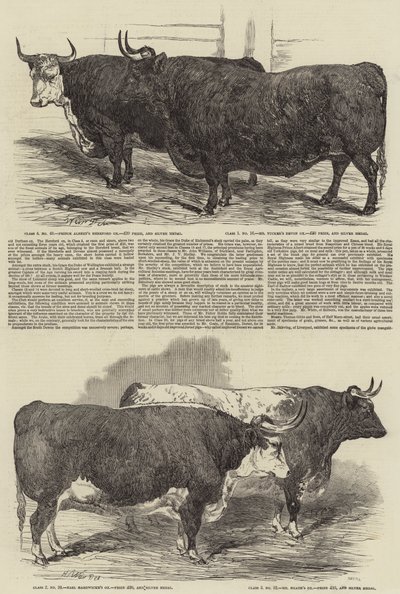 史密斯菲尔德俱乐部年度展览 作者 Harrison William Weir
