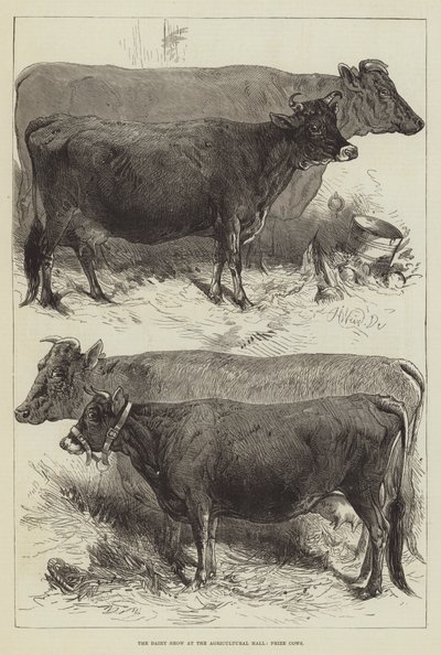 在农业大厅，奶牛的乳品展 作者 Harrison William Weir