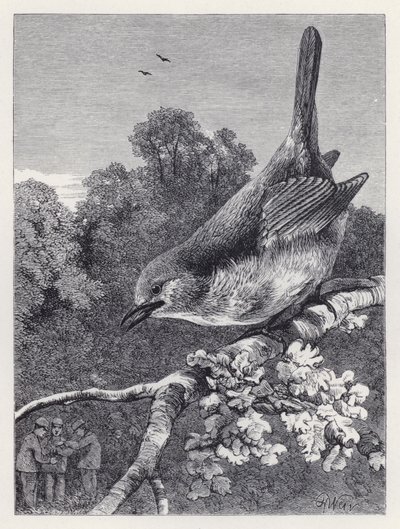 The Robin Watching the Boys with the Nest (engraving) 作者 哈里森·威廉·威尔