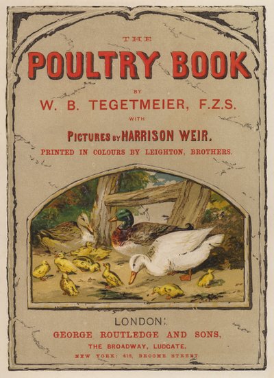 W B Tegetmeier 的 The Poultry Book 的扉页插图（chromolitho） 作者 哈里森·威廉·威尔