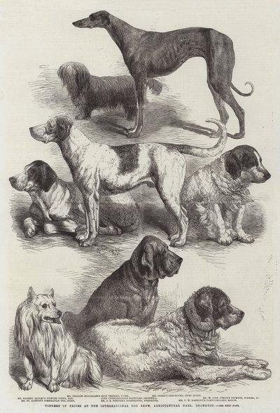 国际狗展，伊斯灵顿农业大厅奖的获奖者 作者 Harrison William Weir