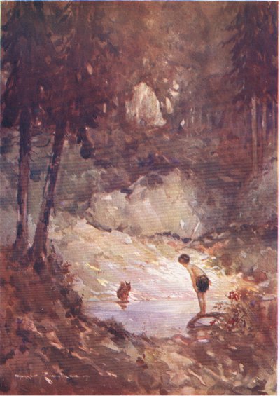 “你现在不妨跳进去，”松鼠对吉尔伯特（来自《森林弃儿》）说（彩色平版印刷） 作者 哈里朗特里