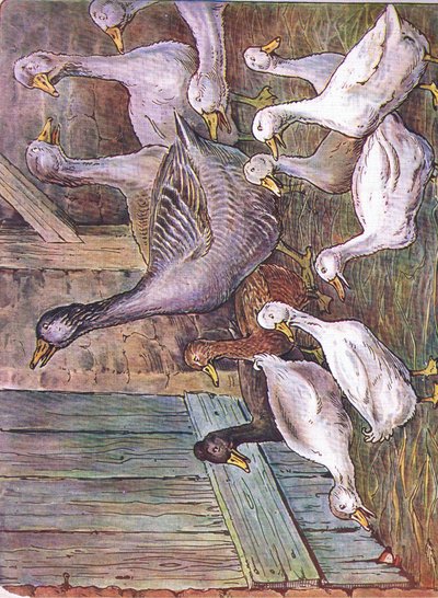 为什么我宣布，1920年 作者 哈里·B·尼尔森