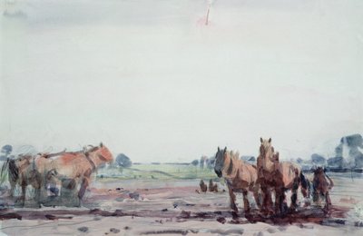 犁马 作者 Harry Becker