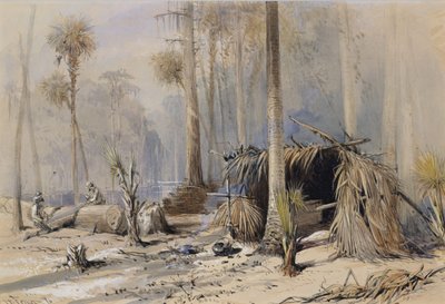 佛罗里达州奥克拉瓦河的柏树-辛格尔院子，1870年。 作者 Harry Fenn