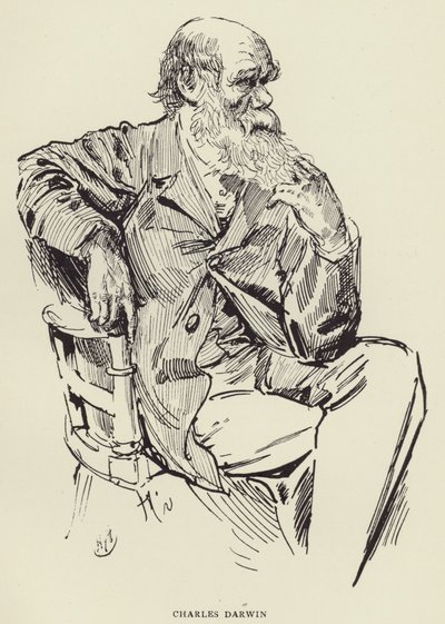 查尔斯·达尔文 作者 哈里·弗尼斯（Harry Furniss）