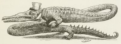 刘易斯卡罗尔的西尔维和布鲁诺的插图 作者 哈里·弗尼斯（Harry Furniss）