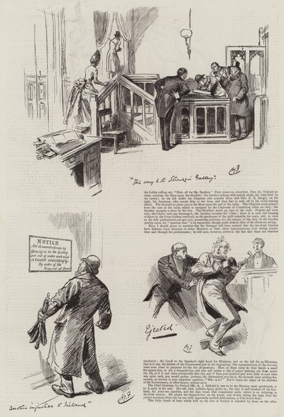 生活在议会，陌生人在众议院 作者 哈里·弗尼斯（Harry Furniss）