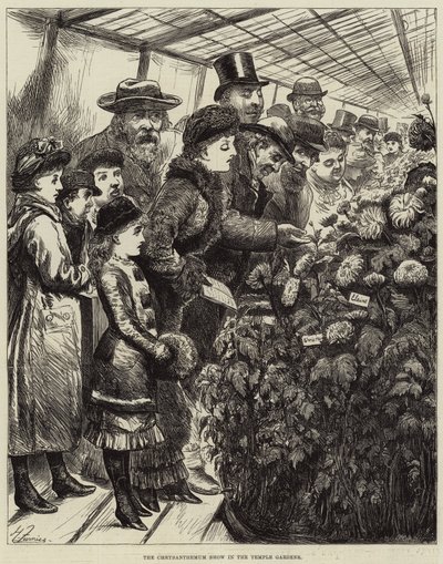 在寺庙庭院的菊花展示 作者 哈里·弗尼斯（Harry Furniss）