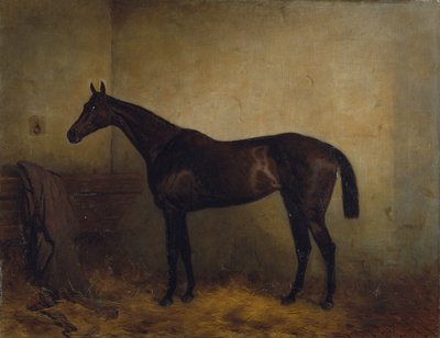 Chaplet，一匹装在松盒中的海湾赛马，约 1877 年（布面油画） 作者 哈里·霍尔