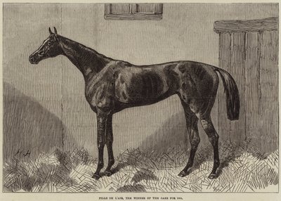 Fille de l&39;Air，1864年奥克斯的获奖者 作者 哈里·霍尔