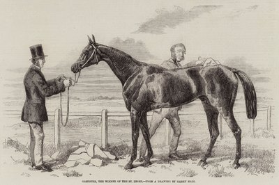 Gamester，St Leger的获胜者 作者 哈里·霍尔