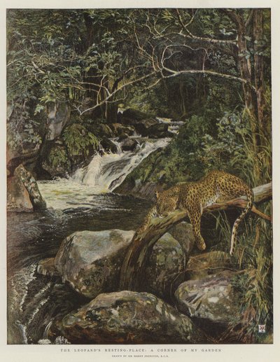 Leopard&39;s Resting-Place，我花园的一个角落（chromolitho） 作者 哈里·汉密尔顿·约翰斯顿