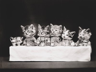 小猫系列最后的晚餐》，约 1914 年（银质印刷品） 作者 哈里·惠蒂尔·弗里斯