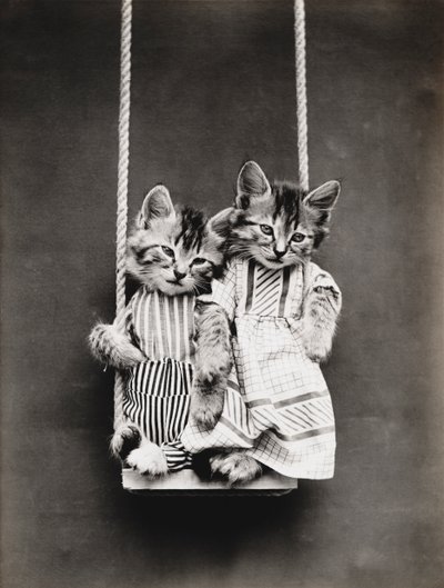 小猫系列秋千上，约 1914 年（银质印刷品） 作者 哈里·惠蒂尔·弗里斯