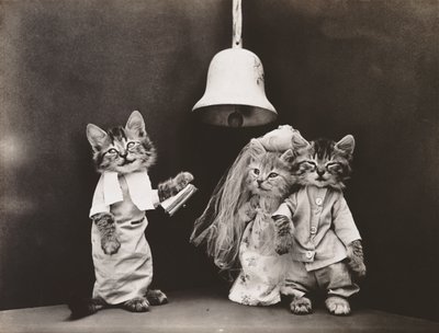 小猫系列：婚礼，约 1914 年（银质印刷品） 作者 哈里·惠蒂尔·弗里斯