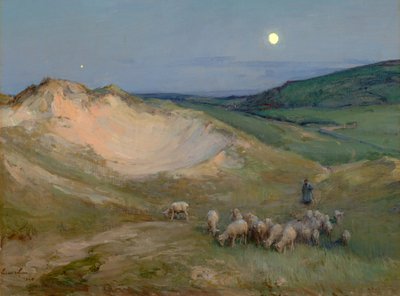 沙丘上的傍晚（布面油画） 作者 哈里范德维登