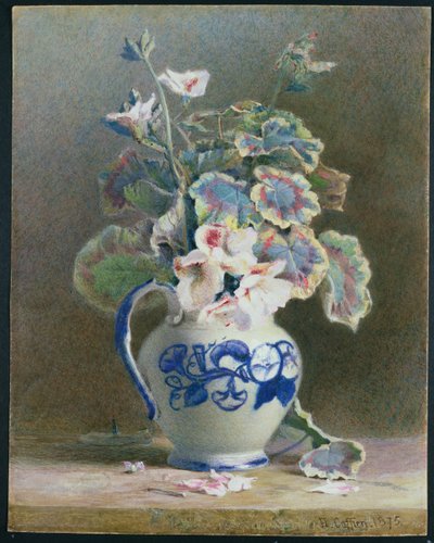 中国水罐中的天竺葵，1875年（wc，纸上水粉） 作者 赫克托·卡菲里（Hector Caffieri）