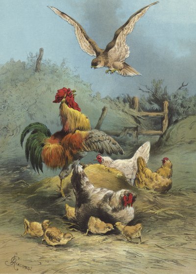 家禽场中的猎鹰（chromolitho） 作者 Hector Giacomelli