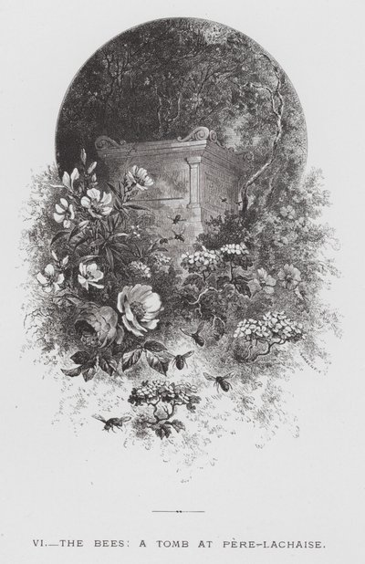 The Insect: The Bees, a Tomb at Pere-Lachaise (engraving) 作者 赫克托·贾科梅利