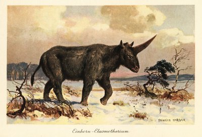 西伯利亚独角兽，Elasmotherium sibiricum，在雪原上。 作者 亨利·哈德
