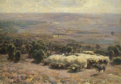 一群羊在Luneburger Heide，1902年 作者 海因里希·约翰·冯·祖格尔