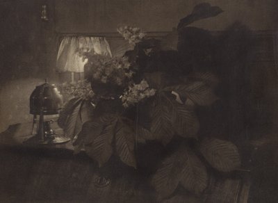 [有七叶树花、灯和瓮的静物画］ 作者 海因里希·库恩