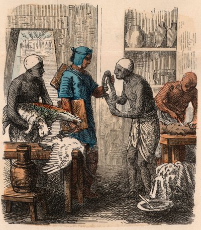古埃及：1866年保护动物 作者 海因里希·勒特曼