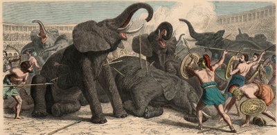 古罗马：1866年圆形剧场杀害了大象 作者 海因里希·勒特曼