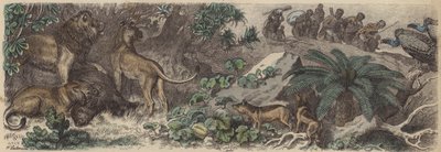 南非（彩色雕刻） 作者 海因里希·勒特曼