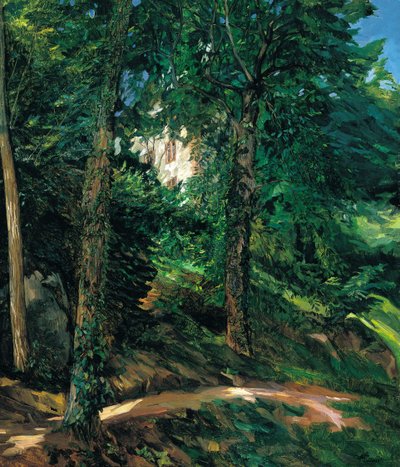 奥登瓦尔德的利希滕贝格的城堡场地，1900年 作者 海因里希·威廉·特吕布纳
