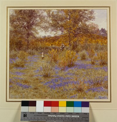 蓝铃花小灌木林，1889年 作者 海伦阿灵厄姆
