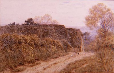 旧谷仓，贝明斯特，多塞特郡 作者 海伦阿灵厄姆