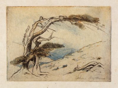 适者生存 作者 海伦·海德（Helen Hyde）
