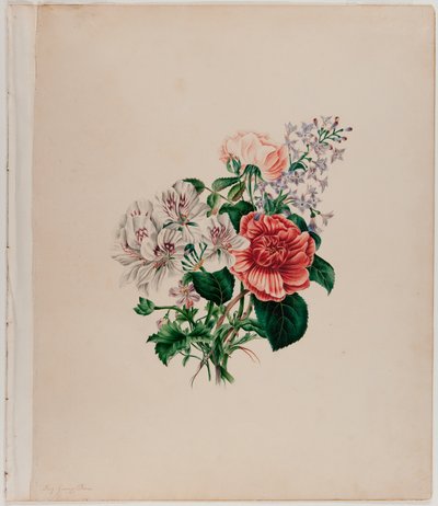 圣莱昂花束，c.1842（纸上水彩） 作者 海伦洛克和琼斯家族